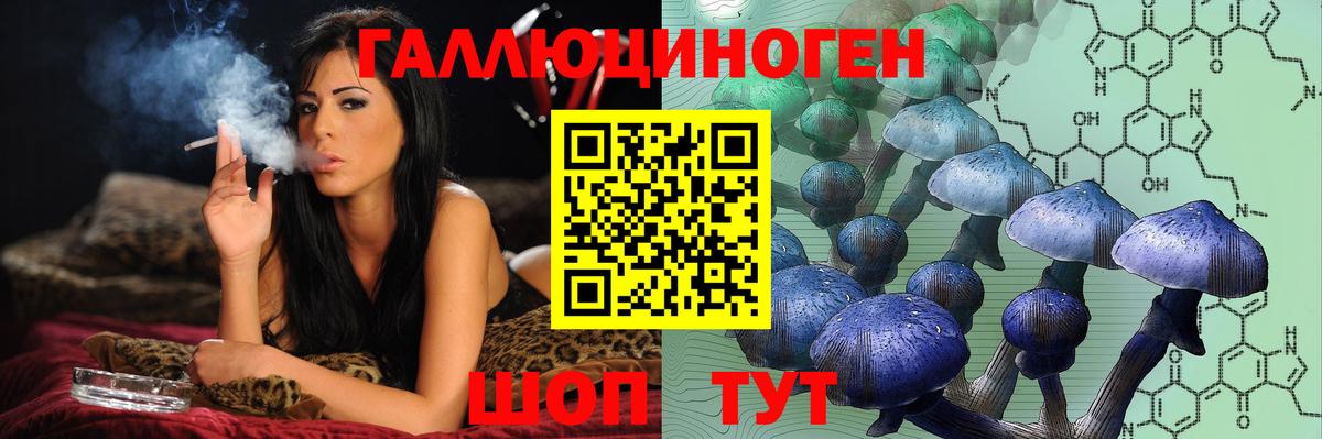 Псилоцибиновые грибы GOLDEN TEACHER Жигулёвск