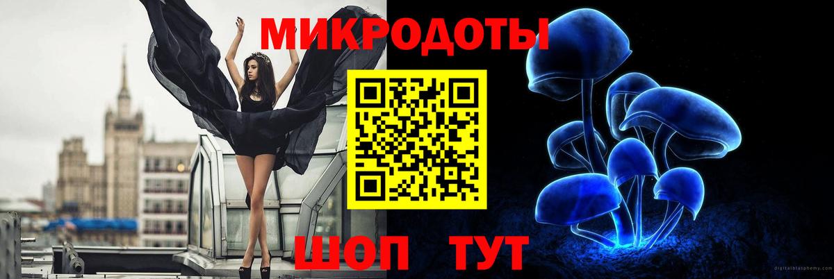 Псилоцибиновые грибы Psilocybe  Вход с VPN  Жигулёвск  Галлюциногенные грибы мухоморы 